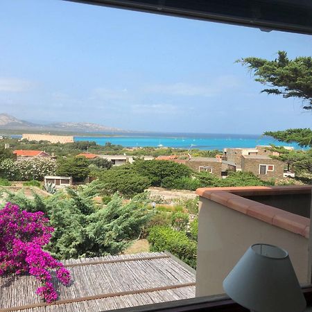 Conchiglia Di Stintino Vista Mare Daire Dış mekan fotoğraf