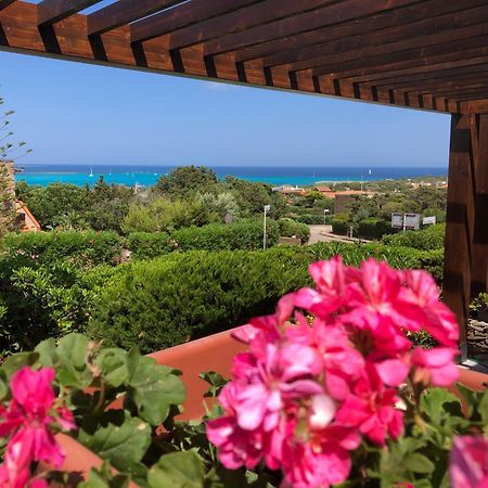 Conchiglia Di Stintino Vista Mare Daire Dış mekan fotoğraf
