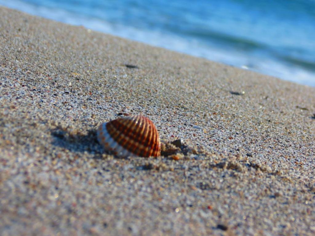 Conchiglia Di Stintino Vista Mare Daire Dış mekan fotoğraf